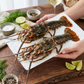 Fresh Live Small Spiny Lobster, Sweet Plump Meat Seafood